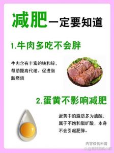 选妻by吃肉不吃油：打造健康美味的低脂肉菜秘诀