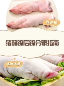 猪小肘和猪肘的区别_猪小肘后肘怎么分？烹饪看区别！