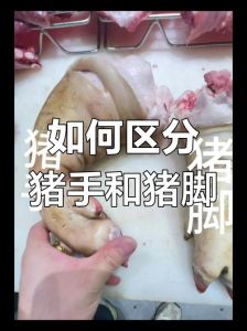猪左手与猪右手区别图_猪手怎么分左右？看小拇指！