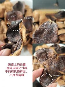 陈皮白霜和发霉图片对比_陈皮白霜与霉变如何区分？