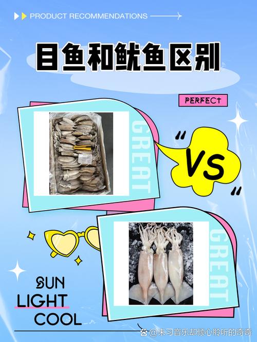 目鱼和鱿鱼图片对比_鱿鱼和目鱼是两种不同的头足类动物