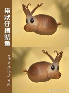 鱿鱼属于什么类动物_鱿鱼不是鱼，是亲戚，海鲜美味