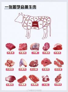 牛紫盖肉在哪个部位图解_牛臀肉又名牛紫盖肉，适合炖煮涮火锅或蒸制，蒸制时需腌制并泡去血水，口感鲜嫩