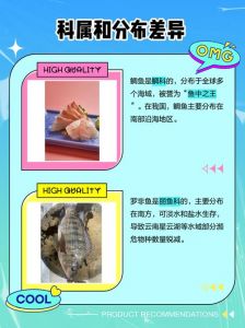 鲷鱼与罗非鱼的区别_哪个更适合你？