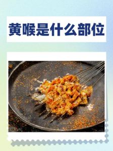 毛肚是什么部位为什么叫黄喉_毛肚黄喉火锅，Q弹爽脆，美味解馋！