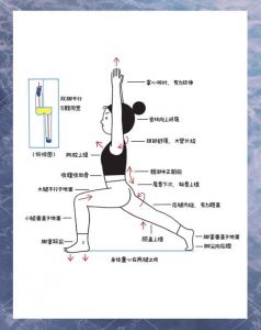 痉挛升天弓身最简单三个步骤_肌肉痉挛？试试瑜伽拉伸热敷！