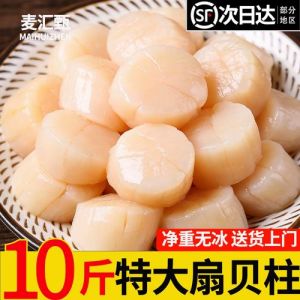 带子和扇贝什么区别_区分不同，品味差异