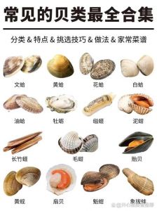 文蛤和花甲什么区别_花甲油蛤文蛤怎么选？