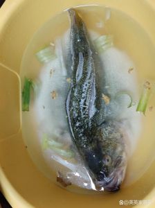 蒸鱼为什么要放葱_去腥增香添营养，菜色更佳