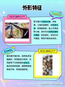 扇贝和带子有什么区别_扇贝和带子怎么区分？口感做法有啥不同？
