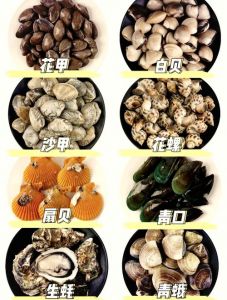 花甲和蛤蜊区别_花甲与蛤蜊的区别，一文读懂