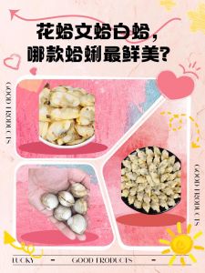 花蛤白蛤青蛤的区别_花蛤白蛤青蛤哪个鲜？吐沙后蒸炒煲美味！