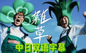 美女被男子怒怼MV日本事件引发关注，探秘中日美食差异与文化碰撞