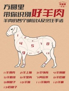做羊肉串用哪个部位肉_后腿醇香里脊嫩，肋条多汁肩肉高性价比！