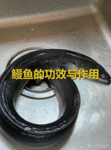 海鳗鱼脂肪含量_低脂高营养，心脏好帮手