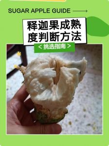 释迦果怎么判断熟不熟_释迦果怎么判断熟了？看颜色闻香味捏硬度