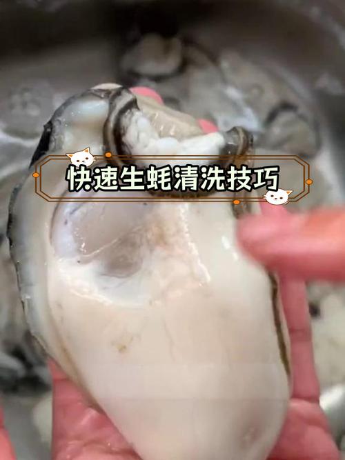 生蚝肉清洗图解_生蚝清洗要彻底,吃得更放心 生蚝肉清洗图解_生蚝清洗要彻底,吃得更放心