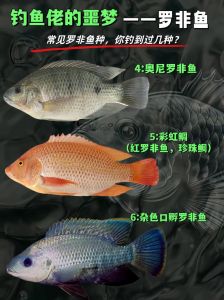 怎样辨别鲷鱼和罗非鱼_如何挑出真鲷鱼片？