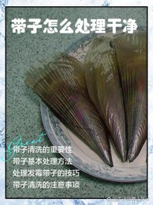 海鲜带子怎么处理干净_清洗去壳控火候，防老化去腥