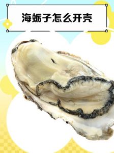 生蚝怎么打开清洗内脏图解_生蚝开壳清洗全攻略
