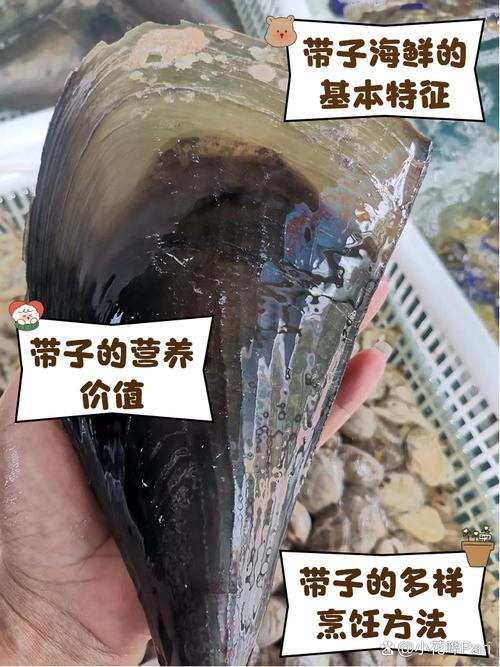 海鲜带子怎么处理图解_蒜蓉粉丝蒸带子,鲜嫩美味在家做 海鲜带子怎么处理图解_蒜蓉粉丝蒸带子,鲜嫩美味在家做