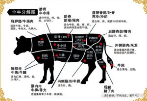 嫩肩肉在牛的哪个部位_炖煮卤佳选，鲜嫩营养美味