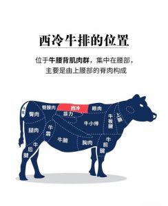 烤牛排用牛的哪个部位最嫩_里脊嫩，肋眼香，外脊劲！