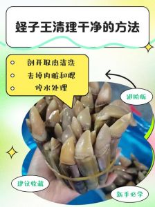 蛏子怎样清洗才干净_盐水浸泡蛏子吐沙，硬毛刷刷净外壳污渍