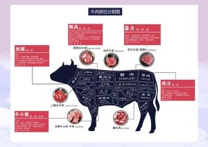 牛那个部位最适合做牛排_嫩煎外脊烤，肥瘦煎红酒，臀炖腩红烧