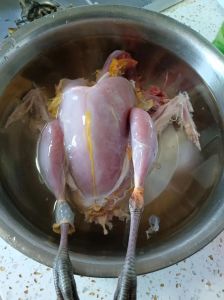 炒鸽子肉的家常做法_家常炒鸽子肉，简单营养又美味！