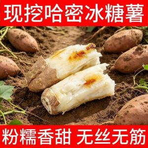 白薯地瓜做法大全_烤香脆蒸软糯，营养美味易上手