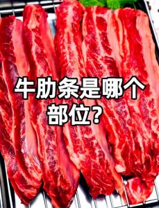 牛肋巴条是哪个部位_软嫩嚼劲，红烧烧烤都适合