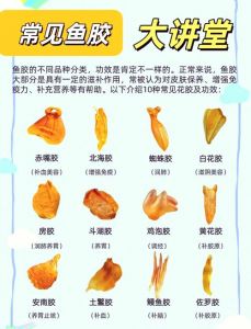 干鳗鱼胶的做法大全_炖汤蒸煮营养美味