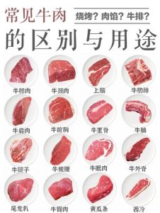 牛肉汤选牛哪个部位好_牛肉炖汤，部位选对味更浓！