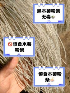 怎样区分红薯粉和木薯粉_口感营养大不同