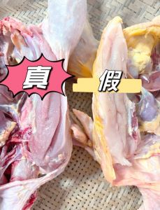怎样分辨土鸡和洋鸡_如何区分土鸡与养殖鸡？看这几点！