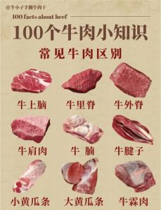 牛身上最贵的肉是什么部位_牛身上最贵肉！