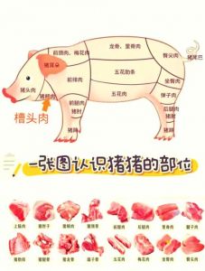 猪肘是猪的哪个部位_猪肘分前后肘，各有特色，前肘紧实红烧，后肘软糯烤炖