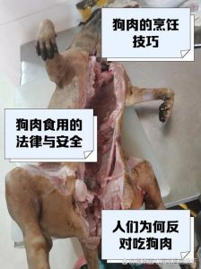 烀狗肉用什么方法快速烂_狗肉炖着吃，去腥入味方法