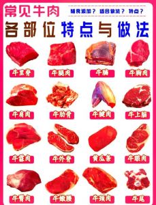 牛肉的二十四个部位图_眼肉烧烤里脊凉拌外脊煎制
