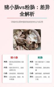 肥肠大肠小肠的区别_区别大，营养口感各不同