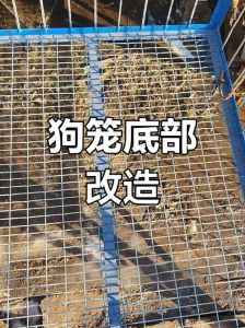 狗笼制作方法及图片_旧物改造，给狗狗温馨小窝