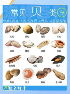 栉孔贝和扇贝的区别_口感营养大不同