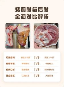 猪的前肘与后肘有啥区别_猪肘前肘后肘怎么选？做法口感大不同