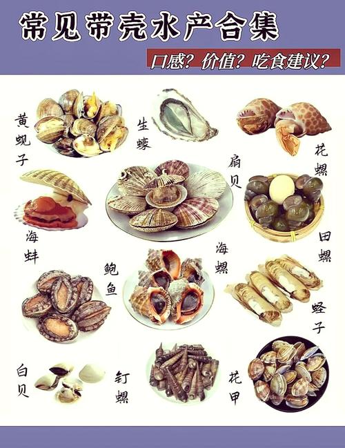毛贝跟扇贝有区别吗_毛贝和扇贝有啥区别? 毛贝跟扇贝有区别吗_毛贝和扇贝有啥区别?