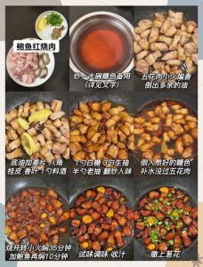家常肉100种做法_炖炒煎烤腌，肉香做法多！