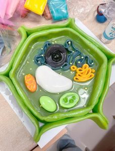 自制生物模型成为生物老师上课的教具