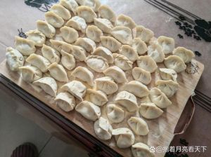 探索疯狂饺子博主的微博世界，发现饺子制作新灵感与创意分享！
