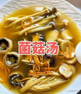 九道菇炖汤的做法_九道菇炖汤浇面，鲜美营养做法分享