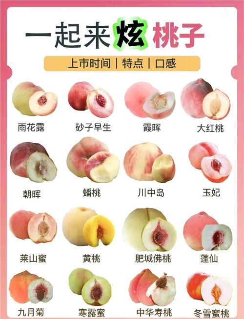 日本水蜜桃一产区和二产区的稀有品种介绍及品鉴指南 日本水蜜桃一产区和二产区的稀有品种介绍及品鉴指南